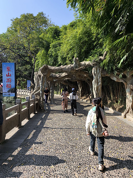 象鼻山景区旅游景点攻略图