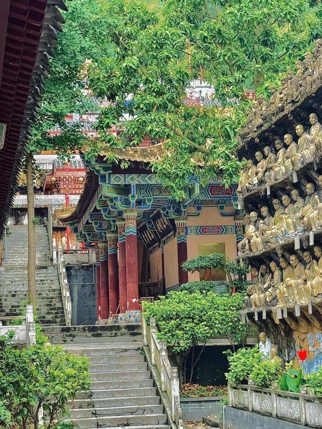 都江堰青城山实拍图