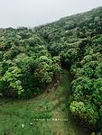 罗定八排山实拍图