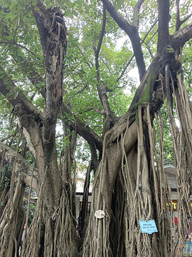 佛山岭南天地旅游景点攻略图