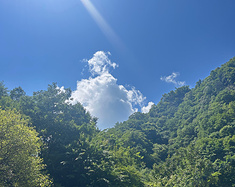 洛阳·栾川｜中原小西藏，避暑养生谷【天河大峡谷】