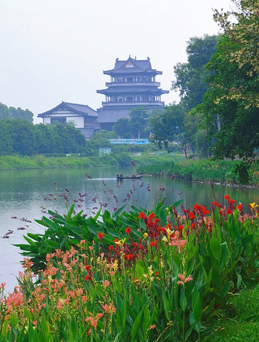 "五月的海珠湖花开成海，百子莲太梦幻了_海珠湖公园"的评论图片