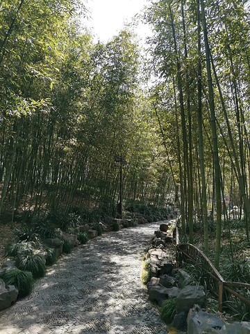 "古猗园漫步：体验古典园林的静谧与优雅_古猗园"的评论图片