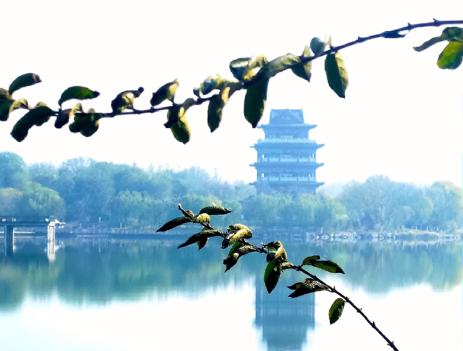 宁津县实拍图