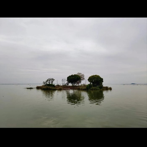 "微山湖红荷湿地景区_枣庄站"的评论图片
