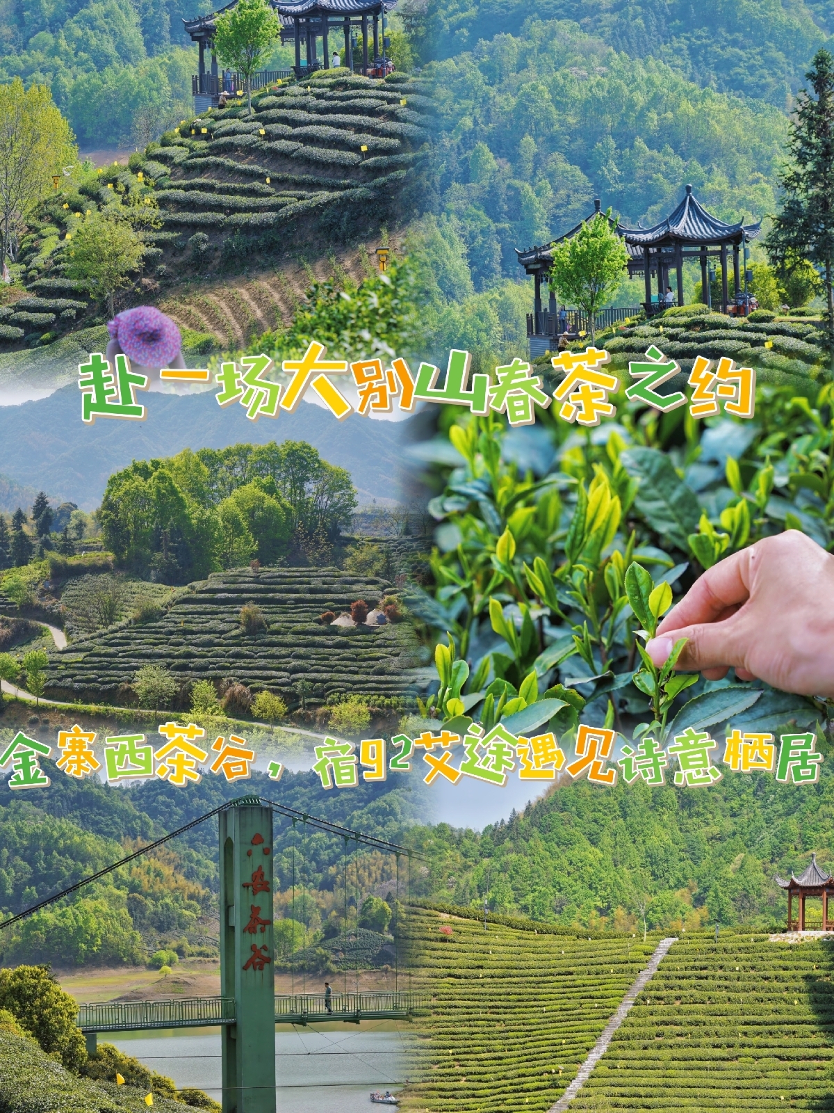 六安西茶谷实拍图