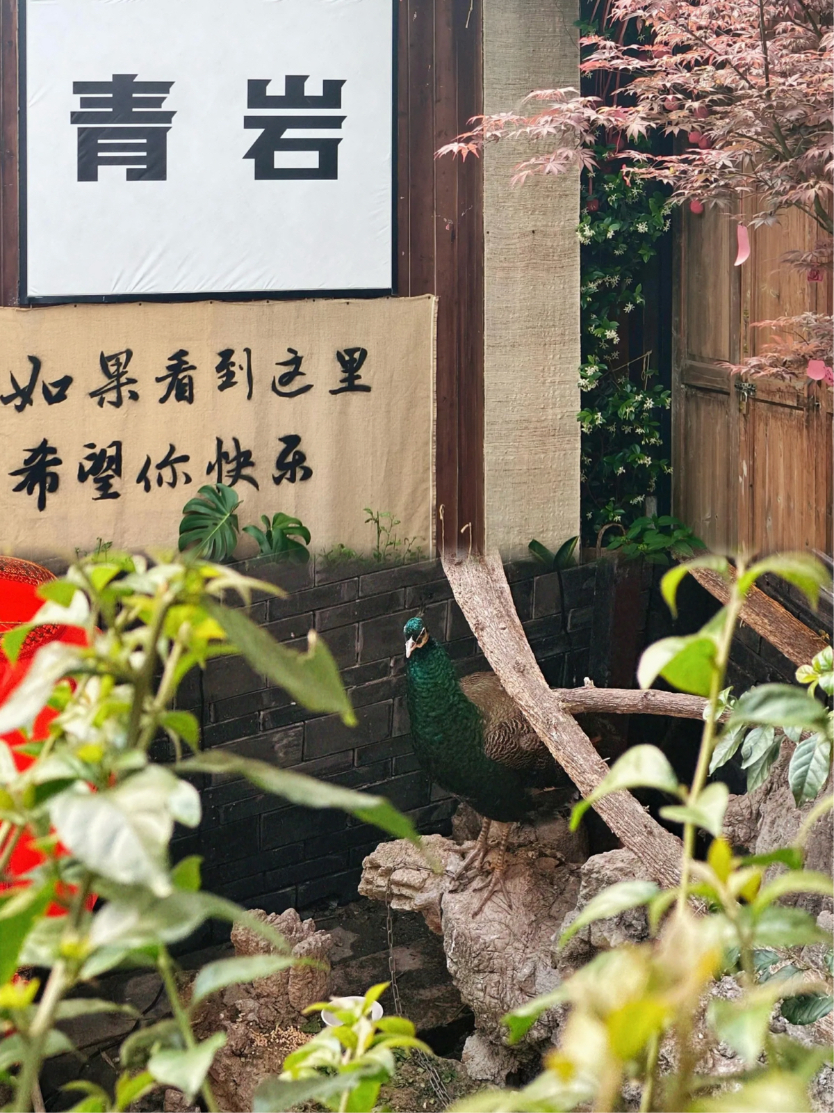 贵阳青岩古镇实拍图