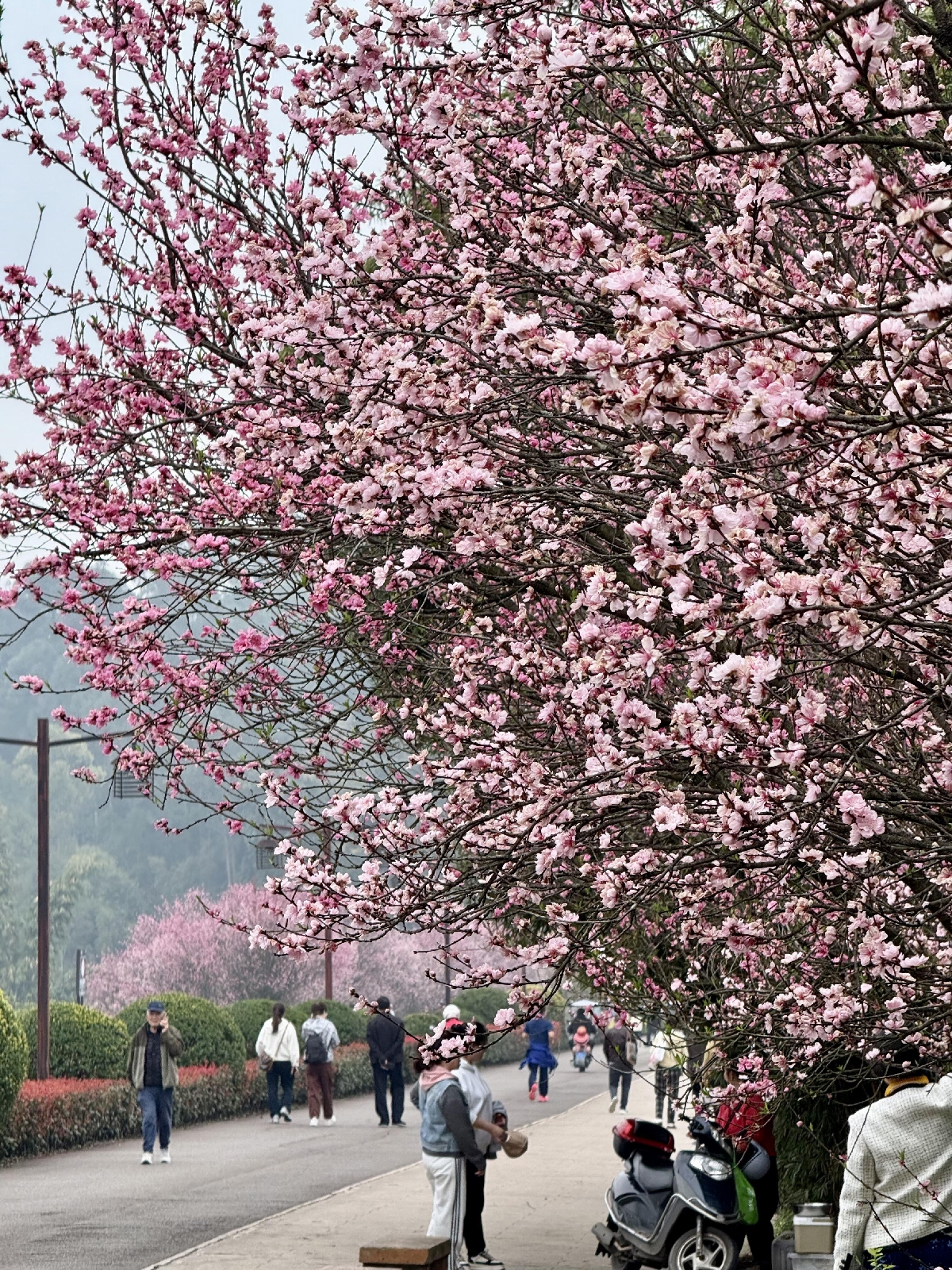 乐山市博物馆实拍图8
