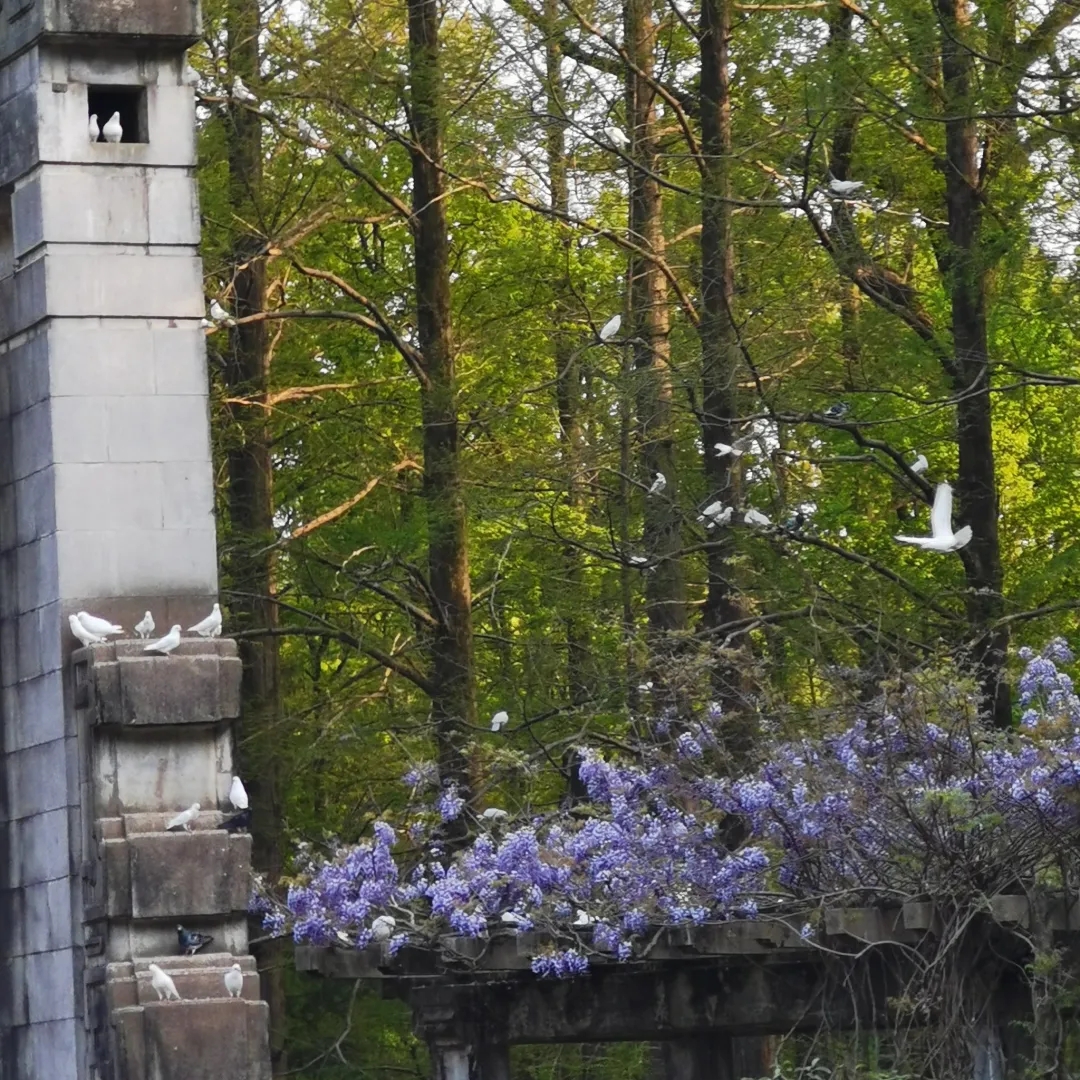 南京音乐台实拍图