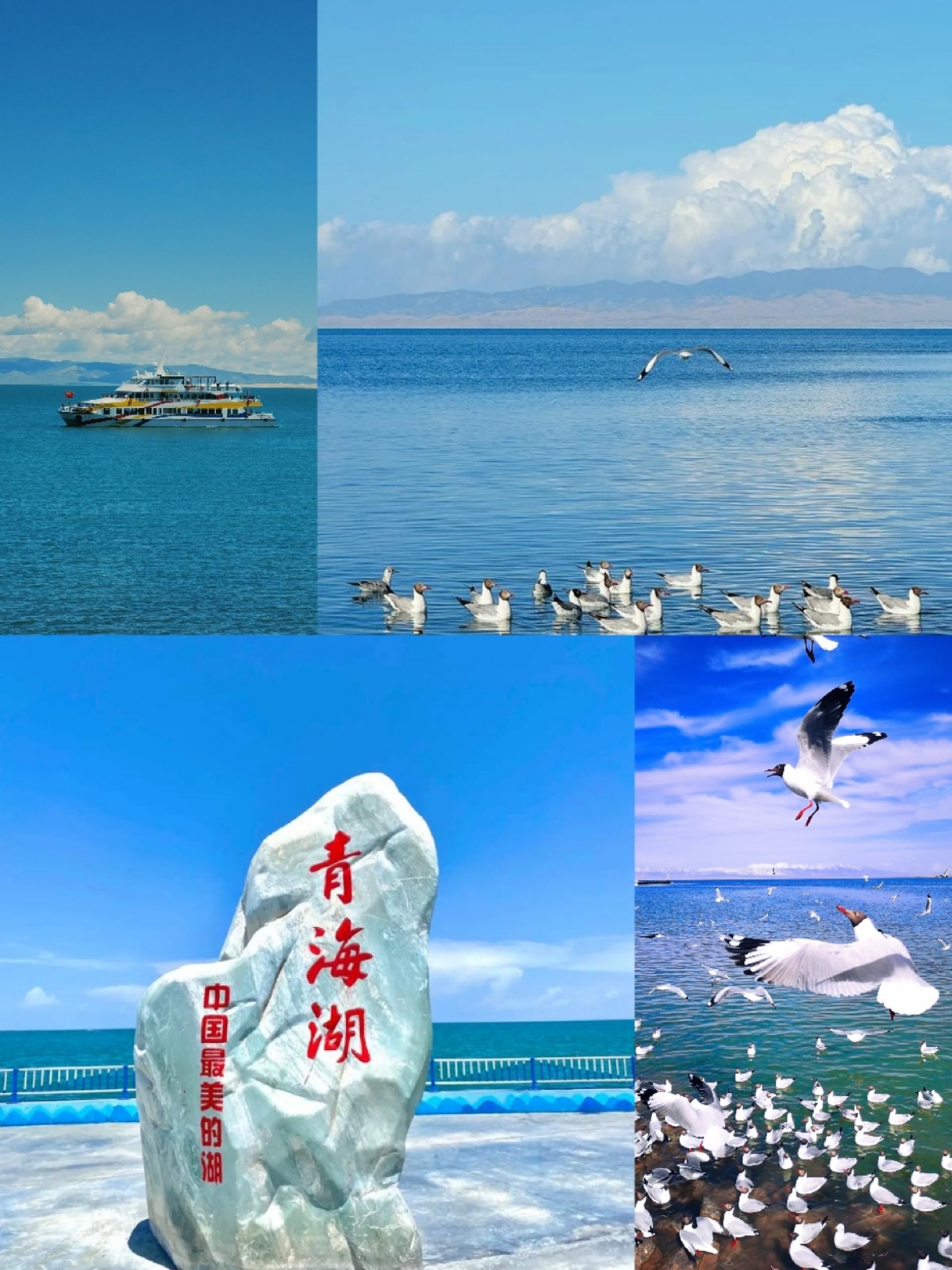 西宁藏文化博物院实拍图