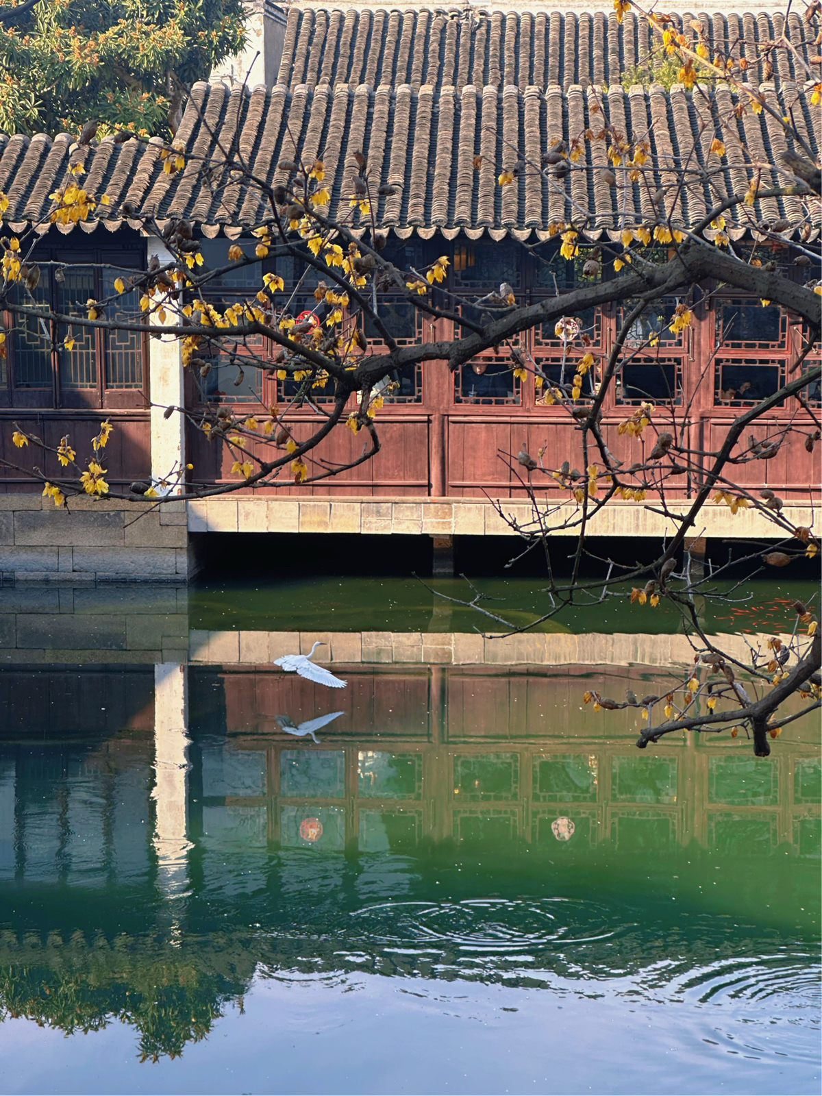 苏州艺圃实拍图5