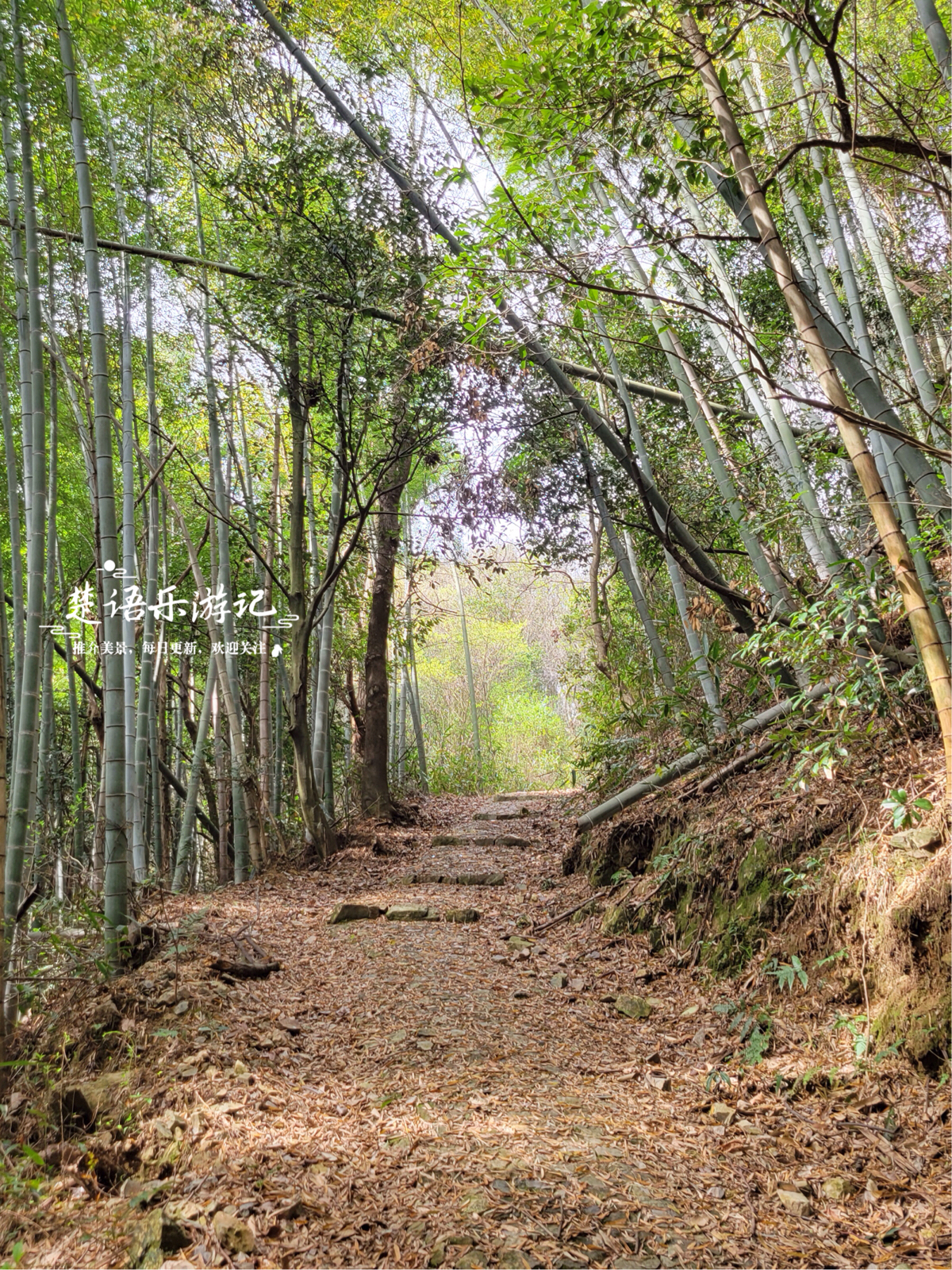 宁波道成岙村实拍图