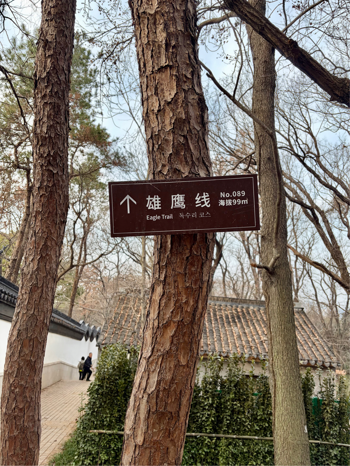 常熟虞山国家森林公园实拍图7