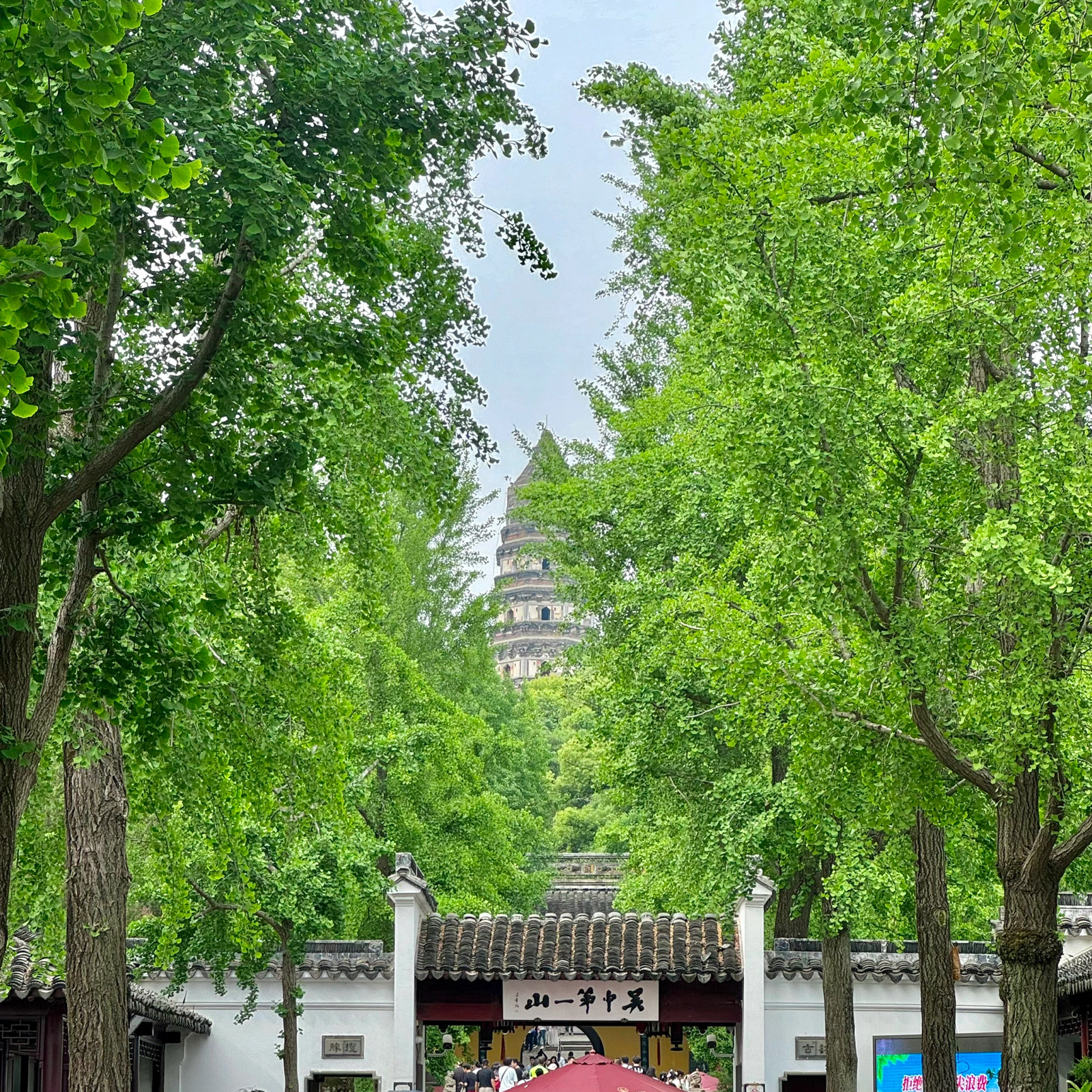 苏州虎丘山风景名胜区实拍图2