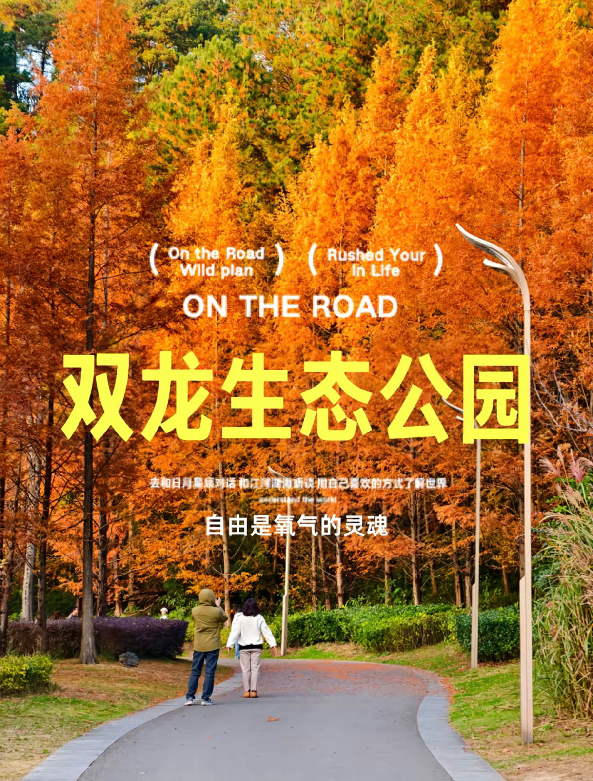 贵阳双龙生态公园实拍图