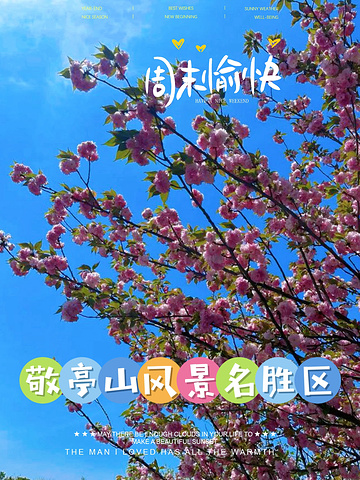 "敬亭山风景区的春天_敬亭山"的评论图片