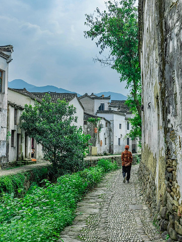 "距杭州仅1h车程的冷门宝藏古镇🏞️，被严重低估的江南秘境_龙门古镇"的评论图片