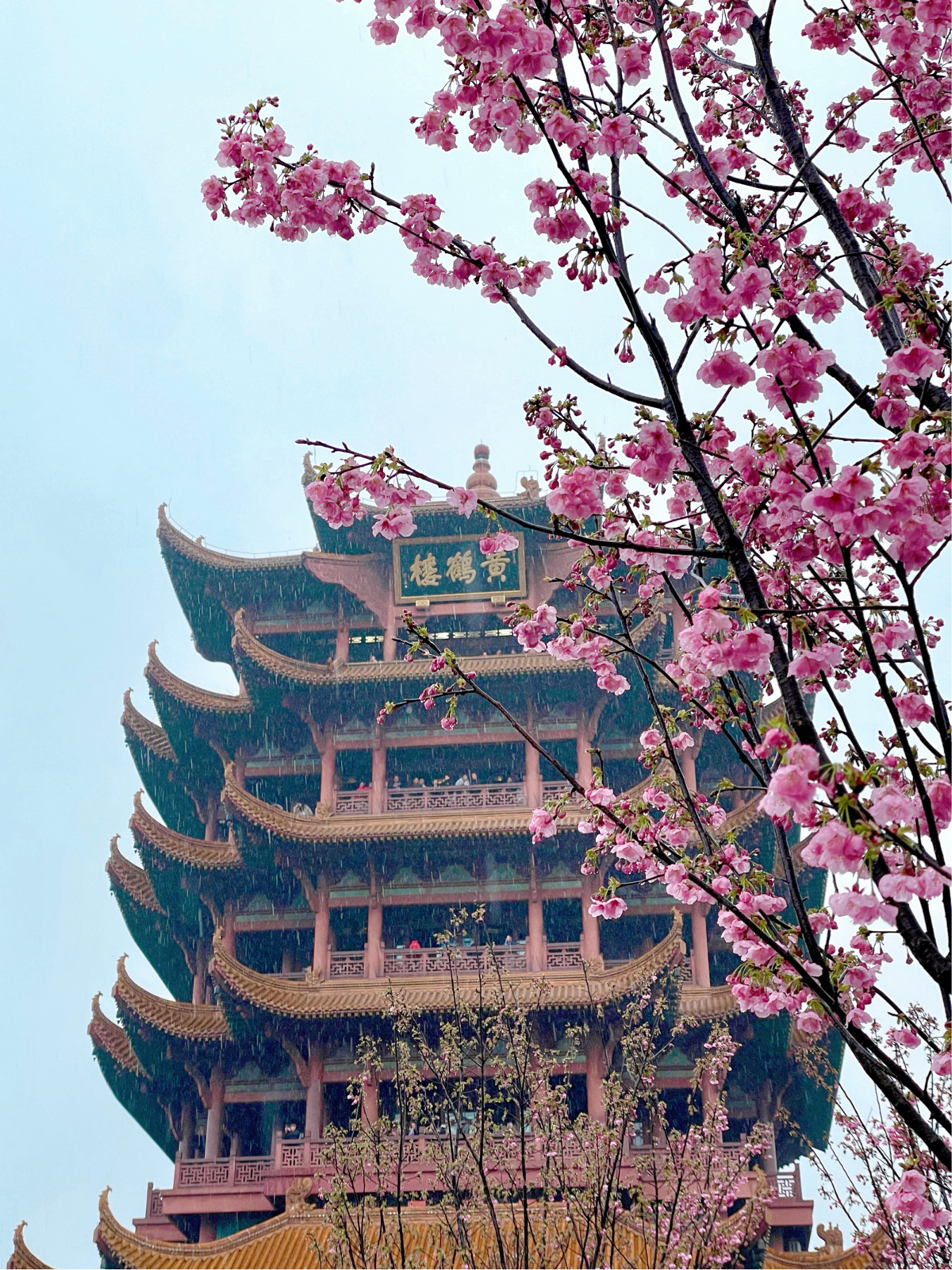 武汉黄鹤楼实拍图