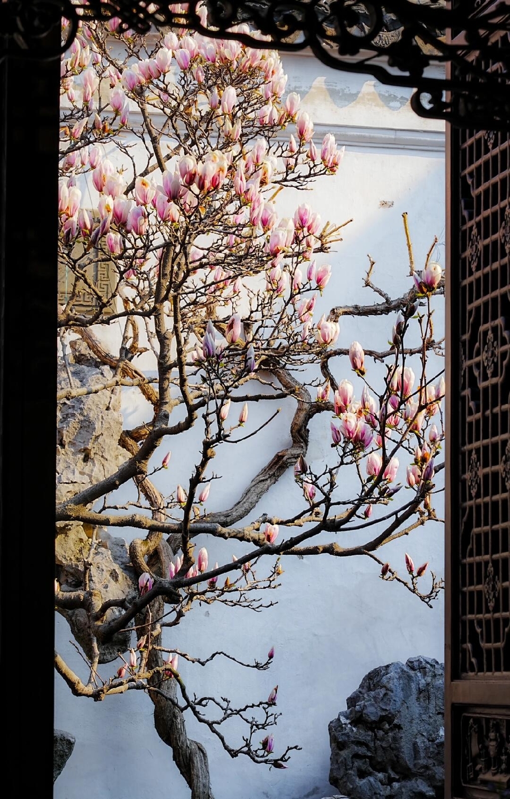 苏州网师园实拍图