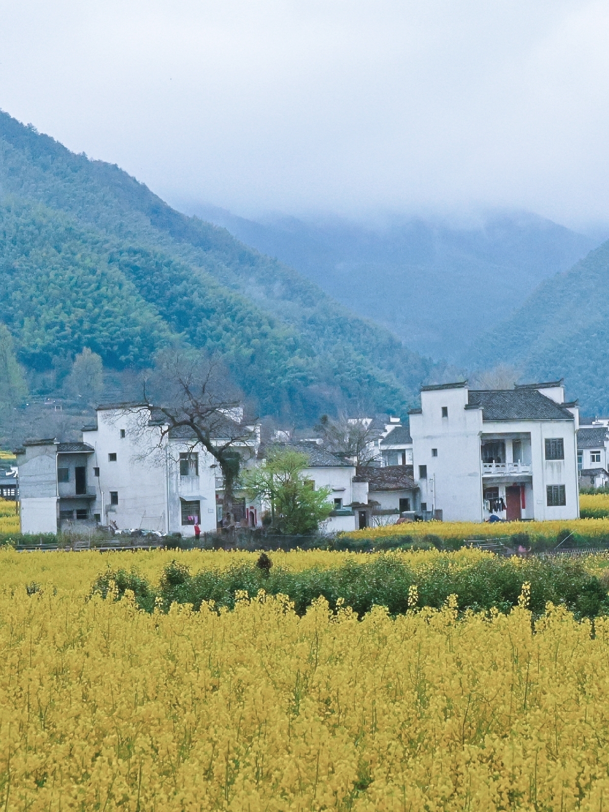 黟县宏村景区实拍图