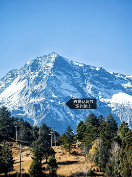 玉龙雪山旅游景点攻略图