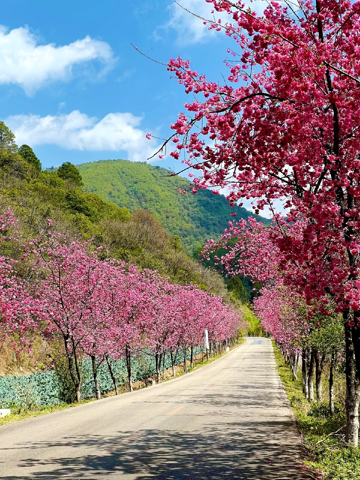 昆明安宁青龙峡实拍图