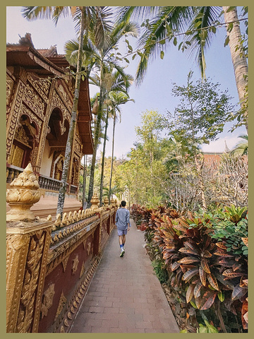 "总佛寺人文大片🛕金碧辉煌细致精巧一步一景🌴_西双版纳总佛寺"的评论图片