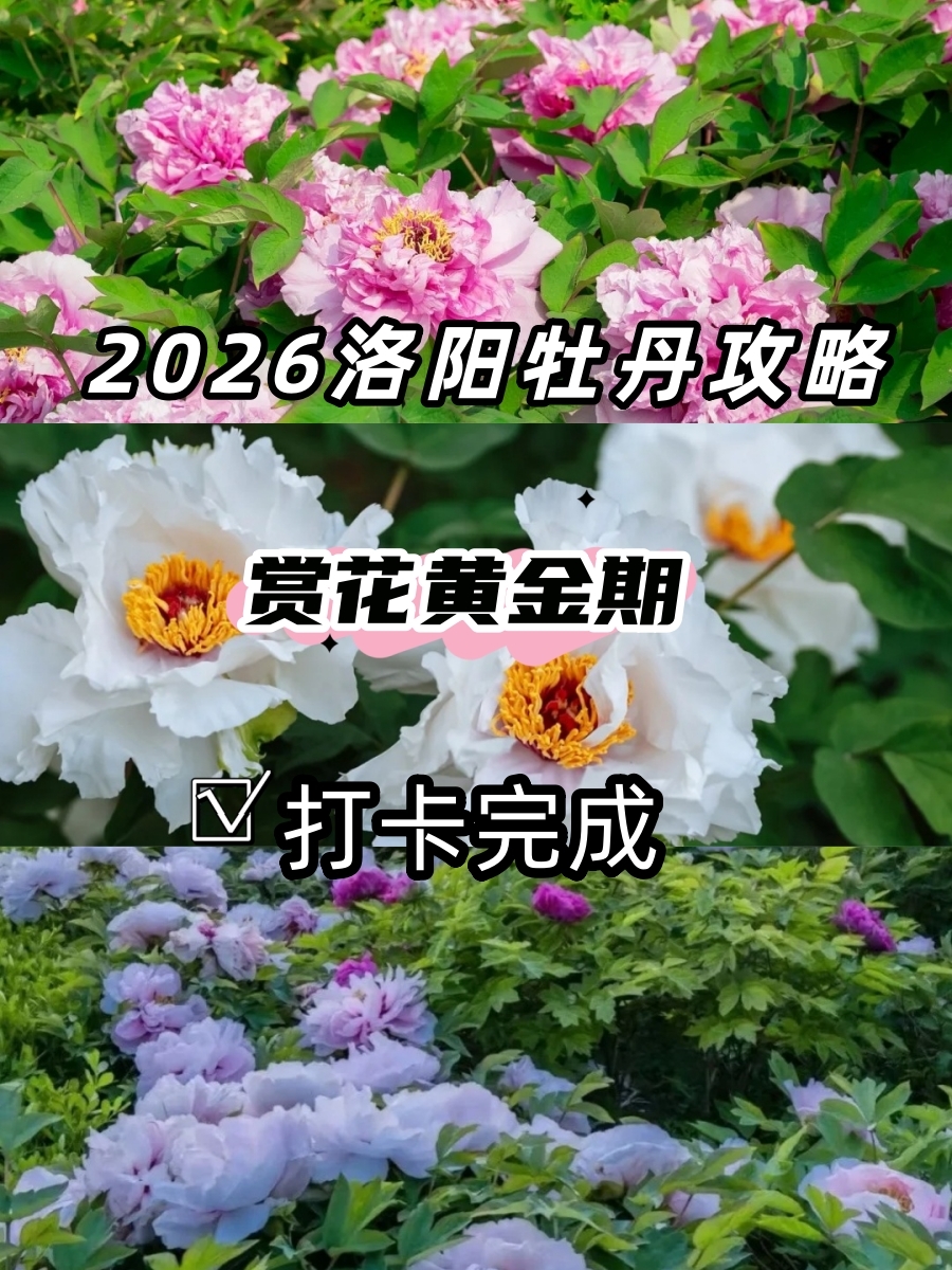 洛阳王城公园实拍图
