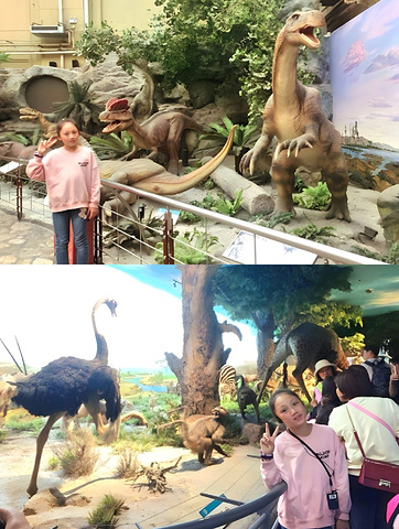 "北京自然博物馆：打开自然之门的钥匙_国家自然博物馆"的评论图片
