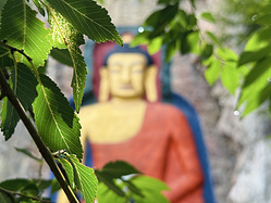 林周,当雄4日游