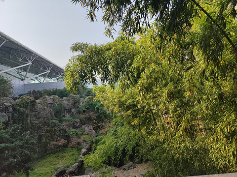 栎社国际机场旅游景点攻略图