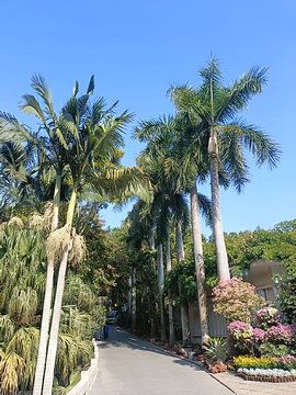 厦门园林植物园旅游景点攻略图