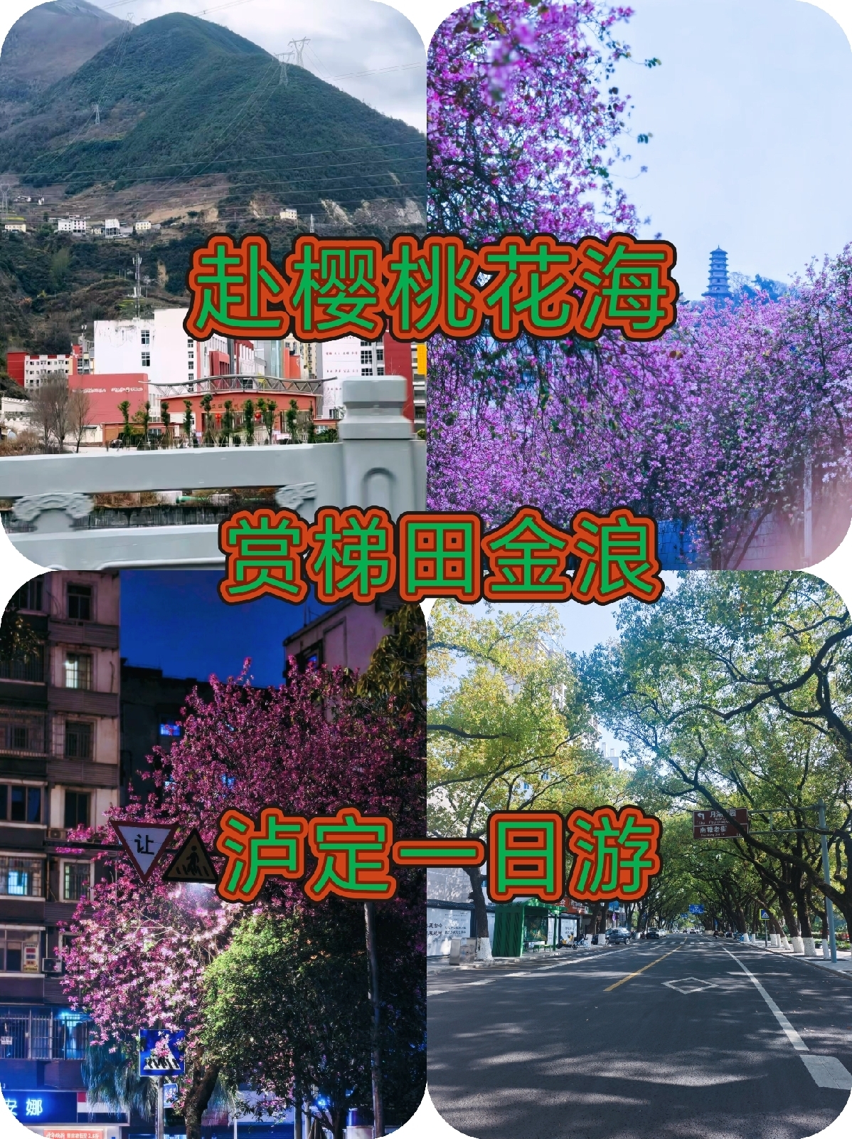 泸定桥景区实拍图
