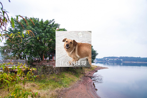 古宇湖风景名胜区旅游景点攻略图