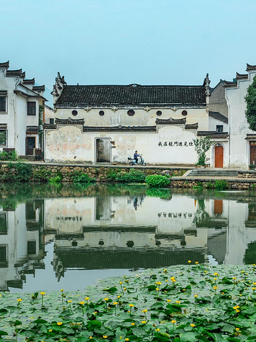 "距杭州仅1h车程的冷门宝藏古镇🏞️，被严重低估的江南秘境_龙门古镇"的评论图片