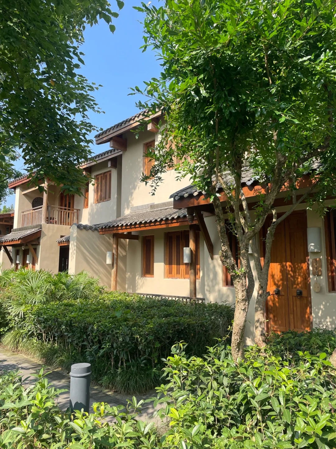 都江堰青城山实拍图