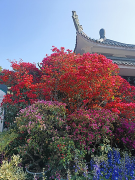 厦门园林植物园旅游景点攻略图