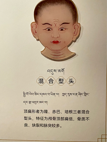 "如同上了一堂课_青海藏文化博物院"的评论图片