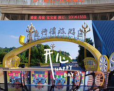 四川安岳：宝森柠檬旅游区的绿色奇遇与中央时代广场的繁华盛宴