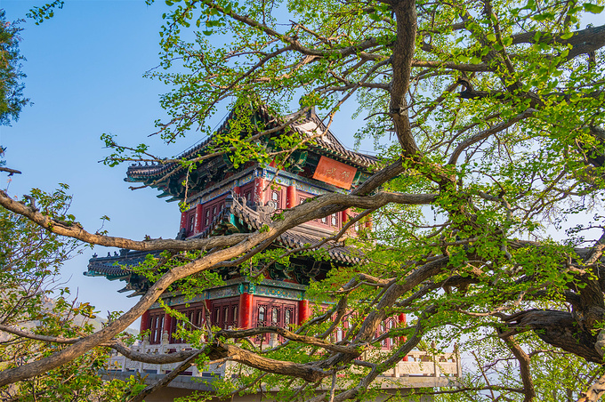 花果山图片