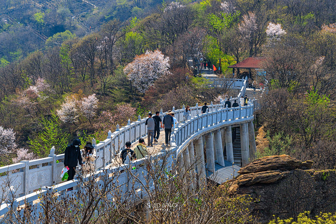 海上云台山图片