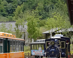 新昌 宝藏溜娃地 3天2晚 溯溪玩水，爬山徒步