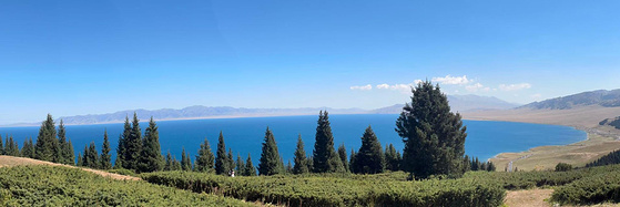 带着爸妈重游新疆（乌鲁木齐-吐鲁番-赛里木湖-伊犁）