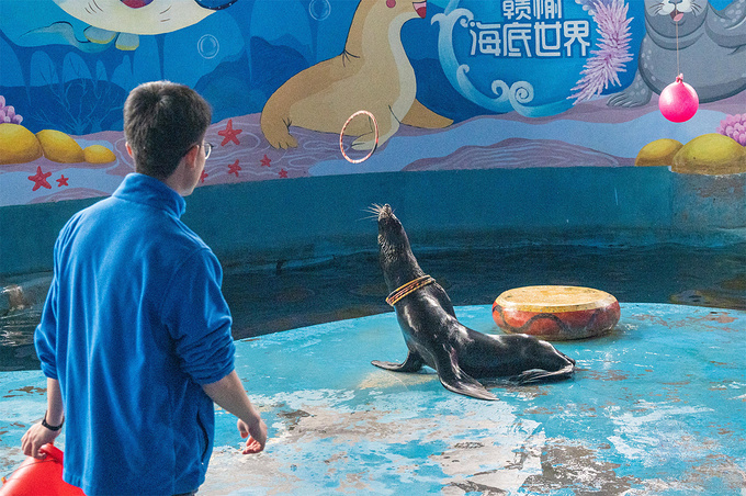 海州湾海洋乐园图片