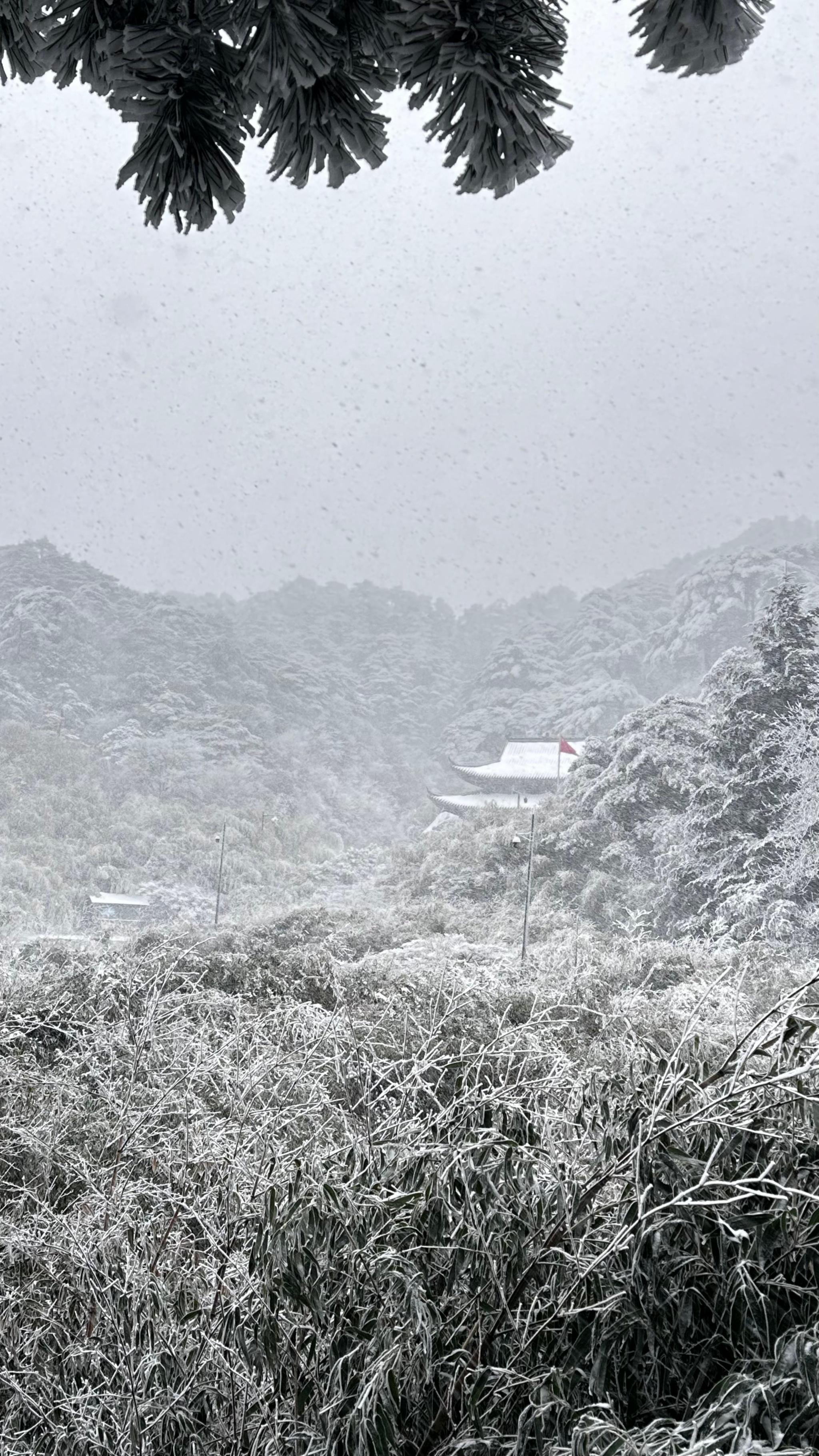 三清山的雪