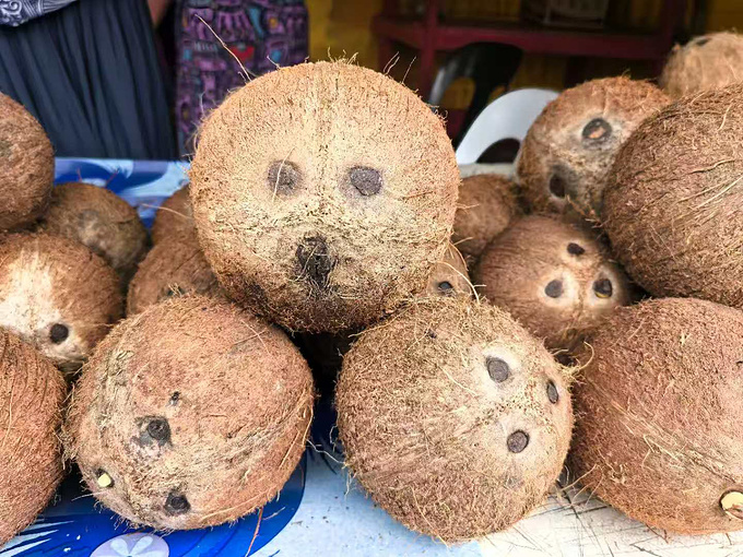 期待，一场属于七十五岁单身女士的梦幻南半球邮轮之旅图片
