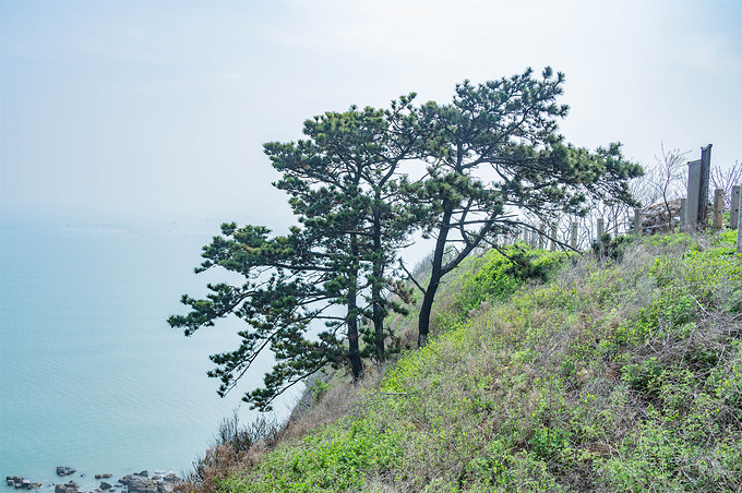 秦山岛图片