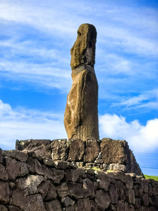 期待，一场属于七十五岁单身女士的梦幻南半球邮轮之旅图片