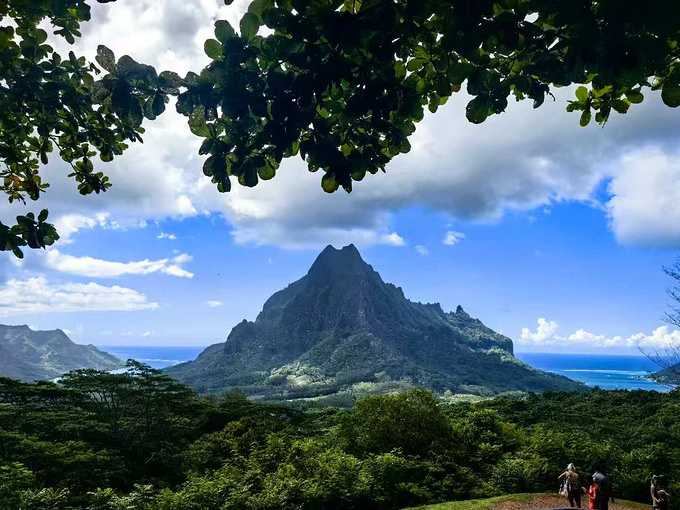 期待，一场属于七十五岁单身女士的梦幻南半球邮轮之旅图片