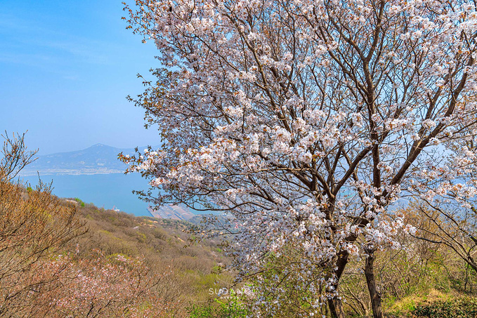海上云台山图片
